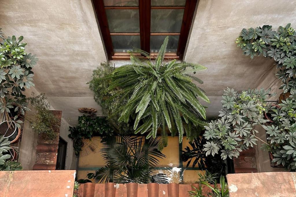 Santa Reparata Downtown Firenze Eksteriør bilde